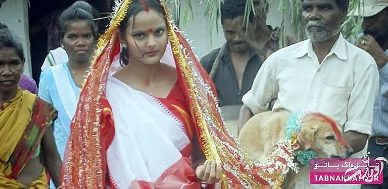 قوانینی برای دیوانگی کردن در برخی کشورها